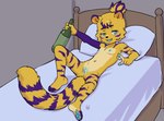 5_fingers andromorph anthro bed biped bottle container countershade_fur countershade_torso countershading fingers fur furniture genitals intersex mastectomy_scar navel on_bed pawpads pillow pussy scar solo striped_body striped_fur stripes tail young young_andromorph young_anthro young_intersex aogami felid mammal pantherine tiger absurd_res hi_res trans_(lore) trans_man_(lore)