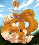 anthro black_nose blue_eyes breasts clothed clothing dipstick_tail female fur gloves_(marking) grass hair leg_markings looking_back markings multi_tail multicolored_tail orange_body orange_fur outside plant socks_(marking) solo tail tail_markings luckypan gluneria_fullin canid canine dreamspinner fox mammal digital_media_(artwork) hi_res shaded