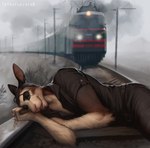 anthro clothed clothing dark_humor depression detailed_background fog fur humor imminent_death imminent_suicide locomotive looking_at_viewer lying male multicolored_body multicolored_fur on_side outside pole railway_track ring russian_flag suicide train two_tone_body two_tone_fur utility_line vehicle totesfleisch8 chris_(totesfleisch8) kangaroo macropod mammal marsupial 2018 hi_res signature