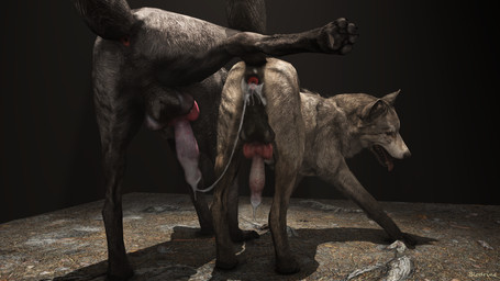 4_toes after_anal after_sex amber_eyes animal_genitalia animal_penis anus balls black_body black_fur bodily_fluids canine_genitalia canine_penis claws cum cum_in_ass cum_inside cum_on_penis dripping duo erection feet feral feral_on_feral fur gaping gaping_anus genital_fluids genitals grey_body grey_fur knot knotted_penis male male/male pawpads paws penis precum precum_drip pull_out raised_leg raised_tail simple_background tail teeth toes tongue tongue_out blodrain canid canine canis mammal wolf 16:9 3d_(artwork) 4k absurd_res digital_media_(artwork) hi_res source_filmmaker_(artwork) widescreen