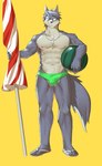 abs anthro ball beach_ball beach_umbrella biceps biped bulge clothed clothing countershade_face countershade_torso countershading detailed_bulge dog_tags eyewear footwear fur genital_outline grey_body grey_countershading grey_fur inflatable jewelry male male_anthro multicolored_body multicolored_fur muscular muscular_anthro muscular_male necklace nipples parasol pecs penis_outline plantigrade sandals shoes simple_background solo speedo speedo_only sunglasses swimwear swimwear_only topless topless_anthro topless_male two_tone_body two_tone_fur umbrella yellow_background rotton morenatsu kouya_(morenatsu) canid canine canis domestic_dog husky mammal nordic_sled_dog spitz 2024 absurd_res hi_res