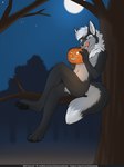 4_toes 5_fingers anthro black_body black_nose black_pawpads blue_eyes chest_tuft claws crossed_legs digitigrade dipstick_tail fangs feet fingers fluffy fluffy_tail food front_view fruit full_moon fur grey_hair hair holding_object holidays in_tree inner_ear_fluff jack-o'-lantern licking licking_lips licking_own_lips looking_at_viewer male mane mane_hair markings moon multicolored_body multicolored_fur neck_tuft night nude pawpads plant pumpkin sitting solo star tail tail_markings teeth text three-quarter_view toes tongue tongue_out tree tuft two_tone_body two_tone_fur fuzzywuff halloween nightdancer_(character) canid canine canis mammal wolf full-length_portrait hi_res portrait url