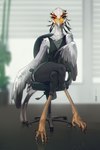 anthro avian_feet beak chair claws clothed clothing crossed_legs eyelashes feathered_wings feathers female front_view fully_clothed furniture green_eyes inside long_eyelashes long_neck office office_chair sitting solo sweater thin_legs topwear turtleneck white_body white_feathers winged_arms wings hale. accipitriform avian bird secretary_bird 2024 2:3 absurd_res hi_res