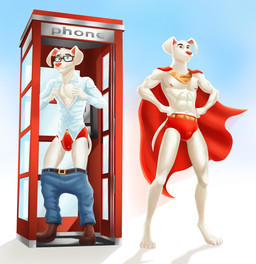 abs anthro anthrofied biceps booth booth_(structure) bottomwear bottomwear_down bulge cape clothed clothing electronics eyewear feet fingers footwear fur glasses looking_at_viewer male muscular muscular_anthro muscular_male nipples open_clothing open_shirt open_topwear pants pants_down partially_clothed pecs phone phone_booth shirt shoes simple_background smile solo superhero tail text toes topwear underwear undressing undressing_self wearing_glasses dal101strefan dc_comics krypto_the_superdog krypto canid canine canis domestic_dog mammal digital_media_(artwork) english_text hi_res