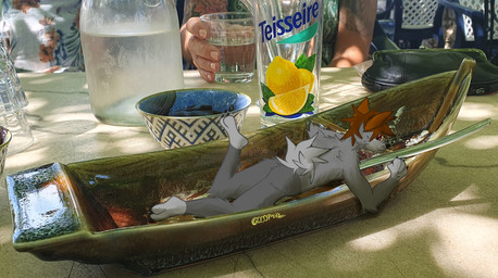 anthro brown_hair fur grey_body grey_fur hair lying male micro on_food on_front on_plate photo red_eyes solo 2001maxx conditional_dnp maxx_(2001maxx) canid canine canis domestic_dog husky mammal nordic_sled_dog spitz absurd_res draw_over hi_res
