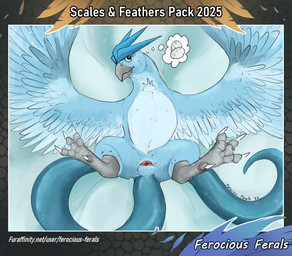animal_genitalia beak blue_body blue_eyes butt claws cloaca egg eyelashes feathered_wings feathers feet female feral genitals horizontal_cloaca looking_at_viewer lying mouth_closed on_back presenting presenting_cloaca presenting_hindquarters simple_background solo spread_legs spread_wings spreading tail talons text thought_bubble toes wings ferocious_ferals nintendo pokemon articuno avian generation_1_pokemon legendary_pokemon pokemon_(species) 2025 absurd_res hi_res signature url