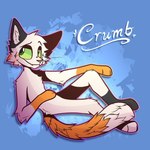 ambiguous_gender anthro black_body black_fur blue_background fur gloves_(marking) green_eyes leg_markings long_tail looking_at_viewer markings mottled orange_body orange_fur piebald simple_background smile socks_(marking) solo tail whiskers white_body white_fur youtuber arctica_the_fox crumb_(cuptoast) calico_cat domestic_cat felid feline felis mammal 1:1 colored nonbinary_(lore)