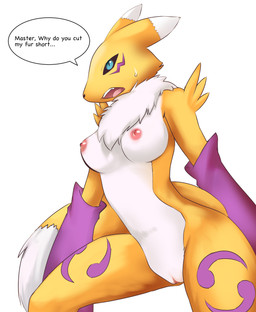 anthro armwear black_sclera blue_eyes bodily_fluids breasts chest_tuft clothing dialogue elbow_gloves female fur genitals gloves handwear master mostly_nude nipples simple_background solo standing sweat text tuft vulva white_background white_body white_fur yellow_body yellow_fur rsin bandai_namco digimon canid canine digimon_(species) mammal renamon 2017 digital_media_(artwork) english_text hi_res