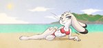 4_toes anthro barefoot beach bikini breasts buckteeth clothing cloud day detailed_background dipstick_ears ear_markings feet female fur grey_body grey_fur head_tuft looking_at_viewer multicolored_ears outside plantigrade sand sea seaside sky small_breasts smile solo swimwear teeth toes tuft two-piece_swimsuit water white_body white_fur scottyartz lagomorph leporid mammal rabbit 2021 hi_res signature