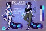 3:2 anthro breasts clothed clothing english_text featureless_breasts felid female fur hair hi_res looking_at_viewer mammal model_sheet northfelle nude off/on polaris_(polarlights) solo text watermark