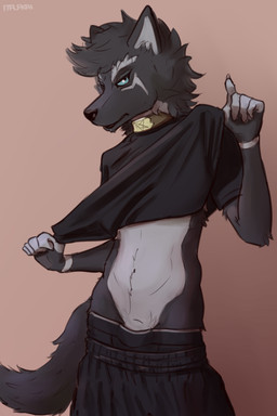 anthro biped bottomwear bottomwear_down bulge clothed clothing clothing_lift collar looking_at_viewer male midriff pants pants_down partially_clothed shirt shirt_lift slim solo standing topwear underwear omalakai canid canine canis mammal wolf 2:3 absurd_res hi_res