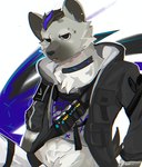 2024 anthro arknights black_hair blue_hair bottomwear canid canine canis clothing collar ear_piercing eyebrow_piercing facial_piercing fur grey_body grey_fur hair hi_res hyena hypergryph jackal looking_at_viewer male mammal pants piercing shirt_up solo spot_(arknights) spotted_hyena stnpxts studio_montagne tail