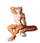 abs anthro blue_eyes brown_body brown_fur fangs flexing fur hand_on_head looking_at_viewer male muscular muscular_anthro muscular_male nipples nude open_mouth orange_body orange_fur pecs raised_arm simple_background sitting smile solo striped_body striped_fur stripes suggestive teeth whiskers white_background white_body white_fur caninelove felid mammal pantherine tiger 2016 dated digital_media_(artwork) hi_res shaded