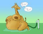 abdominal_bulge anthro areola belly breast_expansion breasts bursting dialogue enema expansion female hose hose_inflation inflation liquid_inflation nipples overweight solo thick_thighs water_inflation nezzieplump nerra_(nezzieplump) giraffe giraffid mammal hi_res