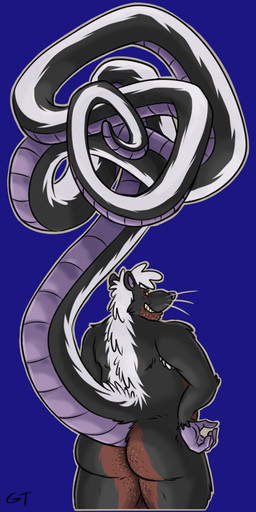 anthro armpit_hair backsack balls big_butt big_tail body_hair butt butt_hair genitals hair huge_tail long_tail looking_at_viewer looking_back looking_back_at_viewer male overweight overweight_male solo standing sticker tail tail_coil whiskers white_hair gtskunkrat gtskunkrat_(character) hybrid mammal mephitid murid murine rat rodent skunk 1:2