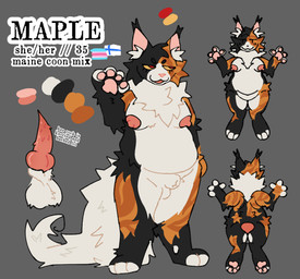 ambiguous_gender animal_genitalia anthro belly big_breasts breasts fluffy genitals gynomorph hybrid_genitalia intersex knot knotted_penis nipples overweight penile_spines penis sheath solo mantidfreak domestic_cat felid feline felis maine_coon mammal hi_res reference_image