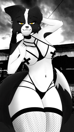 anthro female sloodmot cecy border_collie canid canine canis collie domestic_dog herding_dog mammal pastoral_dog sheepdog 4k 9:16 absurd_res hi_res