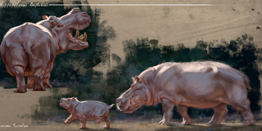 feral grey_body grey_skin quadruped realistic realistic_feral walking young grazianoroccatani common_hippopotamus hippopotamid mammal 2020 detailed digital_drawing_(artwork) digital_media_(artwork)