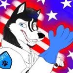 american_flag anthro black_body black_fur clothed clothing fangs fur glove_snap gloves grin hair handwear heterochromia latex latex_clothing latex_gloves latex_handware latex_handwear male multicolored_body multicolored_fur raised_hand security security_guard smile solo teeth two_tone_body two_tone_fur uniform united_states_of_america white_body white_fur chewfox kalus canid canine canis domestic_dog husky mammal nordic_sled_dog spitz 1:1 2012 bust_portrait low_res portrait signature