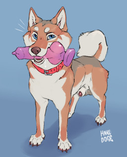 animal_dildo animal_genitalia animal_penis animal_sex_toy balls blue_eyes canine_dildo canine_genitalia canine_penis collar curled_tail dildo feral fur genitals knot knotted_dildo male orange_body orange_fur penis penis_tip sex_toy sheath solo standing tail hakudoge fen_(hakudoge) canid canine canis domestic_dog mammal shiba_inu spitz hi_res