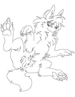 animal_genitalia animal_penis animal_vulva anus arm_tuft canine_genitalia canine_penis canine_vulva claws dewclaw elbow_tuft erection eyebrow_through_hair eyebrows eyelashes feral genitals hair intersex lipsticking lying maleherm mouthless neck_tuft on_back pawpads paws penis penis_tip pointy_ears presenting presenting_anus presenting_penis presenting_vulva prick_ears sackless sheath simple_background solo tail translucent translucent_hair tuft vulva white_background rhapsody_tenrai rhapsody_tenrai_(character) canid canine canis mammal wolf 2025 absurd_res black_and_white digital_drawing_(artwork) digital_media_(artwork) hi_res line_art monochrome signature sketch nonbinary_(lore) trans_(lore)