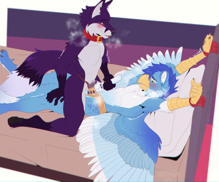 anthro bdsm beak bed bed_bondage bedroom_eyes blush bondage bound breath chastity_belt chastity_cage chastity_device chastity_strap collar dominant dominant_in_chastity duo edging feathered_wings feathers feet furniture gold_(metal) gold_chastity_belt gold_chastity_cage gold_chastity_device hair lidded_eyes lying male male/male mutual_chastity narrowed_eyes nude_anthro nude_male on_back on_bed orgasm_denial seductive sex_toy submissive tail teasing vibrator vibrator_on_chastity_cage wand_vibrator wings local_cannibal mythology felix_(felixfox) rokah avian canid canine fox gryphon mammal mythological_avian mythological_creature