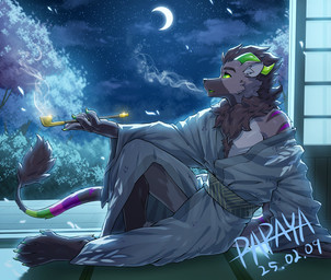 anthro black_hair clothed clothing fur green_eyes green_horn green_sclera grey_body grey_fur hair horn male male_anthro moon night open_mouth short_hair sky smoke smoking solo star tail tail_tuft tuft papayafurry mythology canid canine dragon hybrid mammal mythological_creature mythological_scalie scalie 2025 dated hi_res