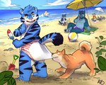 anthro ball beach beach_ball blue_body blue_fur clean_diaper clothed clothing diaper food fur inflatable male popsicle pulling_diaper sand seaside shovel tools umbrella wave wearing_diaper white_body white_fur young young_anthro terrytigear astrotiger colby_(husky) yukon canid canine canis domestic_dog felid husky mammal nordic_sled_dog pantherine shiba_inu spitz tiger wolf absurd_res hi_res