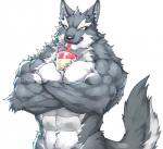 abs anthro between_pecs beverage biceps black_nose bubble_tea eyebrows fur grey_body grey_fur looking_at_viewer male multicolored_body multicolored_fur muscular muscular_anthro muscular_male pecs simple_background smile solo standing teeth white_body white_eyebrows white_fur yellow_eyes captainjohkid hands-free_bubble_tea canid canine canis mammal wolf 2019 digital_media_(artwork) hi_res meme