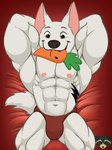 abs anthro anthrofied biceps brown_eyes bulge carrot carrot_in_mouth chew_toy clothed clothing dog_toy food fur hands_behind_head holding_object looking_at_viewer lying male muscular muscular_anthro muscular_male nipples on_back plant skimpy smile solo tail tattoo topless topless_male underwear vegetable white_body white_fur white_tail kazusealcoon bolt_(film) disney bolt_(bolt) canid canine canis domestic_dog german_shepherd herding_dog mammal pastoral_dog 3:4 absurd_res hi_res