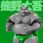 5_fingers anthro biceps clothed clothing fingers fur green_clothing green_speedo green_swimwear looking_at_viewer male musclegut muscular muscular_anthro muscular_male overweight overweight_anthro overweight_male scar solo speedo swimwear text topless wrestler wrestling_briefs shiba-kenta daigo_kumano bear mammal 1:1 2013 character_name hi_res japanese_text