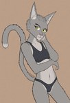 anthro bra breasts clothing countershading eyebrows female female_anthro fur grey_body grey_fur looking_at_viewer multicolored_body multicolored_fur navel nude simple_background small_breasts smile solo standing tail thong tight_clothing underwear yellow_eyes johndoe8771 sylvania_(johndoe8771) felid feline mammal absurd_res colored digital_drawing_(artwork) digital_media_(artwork) hi_res