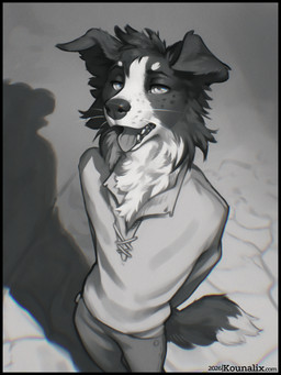 ambiguous_gender anthro black_border border bottomwear breath chest_tuft clothing floppy_ears half-closed_eyes hands_behind_back looking_at_viewer narrowed_eyes open_mouth panting pants shadow shirt solo text topwear tuft kounalix border_collie canid canine canis collie domestic_dog herding_dog mammal pastoral_dog sheepdog 3:4 greyscale hi_res monochrome url
