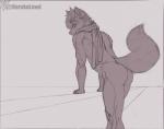 2019 absurd_res anthro athletic athletic_anthro athletic_male butt canid canine ear_piercing ear_ring eyebrows eyewear fluffy fur glasses hair hi_res horn leaning leaning_forward looking_at_viewer looking_back looking_back_at_viewer male mammal maned_wolf monochrome mostly_nude naruka piercing raised_tail ring_piercing scarf scarf_only signature sketch solo tail unfinished watermark