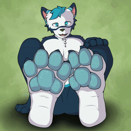 anthro black_body black_fur blue_eyes chest_tuft feet foot_fetish foot_focus fur looking_at_viewer male nude pawpads paws simple_background sitting soles solo toes tuft white_body white_fur kiwifizz canid canine mammal 1:1 animated animated_gif low_res short_playtime