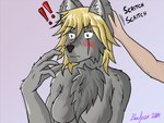 anthro blonde_hair blush breasts chest_tuft collar duo exclamation_point female fur grey_body grey_fur hair petting predators red_eyes rune scar shocked solo_focus text tuft farfener links the_auroran_archives chara_(links) shiyan_(links) canid canine canis coyote mammal wolf 4:3 colored hi_res