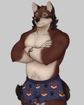 anthro clothed clothing fur male muscular muscular_anthro muscular_male red_body red_fur solo tail underwear underwear_only luner96_(artist) echo_(game) echo_(series) echo_project chase_hunter leo_alvarez canid canine canis mammal wolf 2023 absurd_res digital_media_(artwork) hi_res