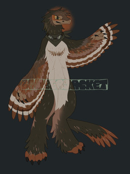 ambiguous_gender anthro black_claws brown_body brown_feathers brown_tail brown_wings claws closed_smile feathers mouth_closed multicolored_body multicolored_feathers multicolored_tail multicolored_wings orange_body orange_feathers orange_tail orange_wings smile solo tail tan_body tan_feathers tan_wings text winged_arms wings buteoposting avian bird dinosaur feathered_dinosaur feathered_scalie prehistoric_species reptile scalie 2026 absurd_res artist_name full-length_portrait hi_res portrait signature