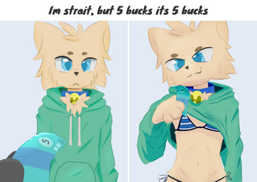 anthro belly bikini clothed clothing clothing_lift collar femboy hoodie male navel panties shirt shirt_lift solo swimwear topwear two-piece_swimsuit underwear kecuxa canid canine fox mammal hi_res meme