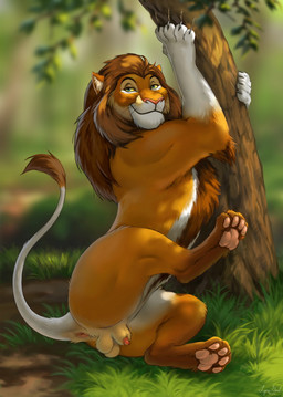 4_toes anatomically_correct anatomically_correct_genitalia anatomically_correct_penis animal_genitalia animal_penis anus balls bedroom_eyes detailed_background feet feline_genitalia feline_penis feral forest genitals male narrowed_eyes outside pawpads paws penis penis_tip pink_anus pink_penis plant quadruped seductive sheath solo suggestive suggestive_look suggestive_pose tail_anus tan_balls tan_sheath toes tree reallynxgirl mafundi felid feline lion mammal pantherine hi_res