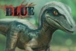 feral looking_at_viewer orange_eyes simple_background solo tail sprout jurassic_park jurassic_world universal_studios blue_(jurassic_world) dinosaur dromaeosaurid prehistoric_species reptile scalie theropod velociraptor 2015 3:2 signature