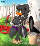 anthro areola beak big_breasts black_body black_feathers black_hair bottomwear breasts bucket clothing container feathers female fence grass green_eyes hair hose kneeling long_hair medium_truck nipples non-mammal_breasts non-mammal_nipples open_beak open_mouth orange_beak plant ponytail purple_bottomwear purple_clothing purple_shorts shirt shorts soap solo tail tail_feathers tank_top tongue tongue_out topwear translucent translucent_clothing translucent_shirt translucent_topwear truck van vehicle water water_hose wet wet_body wet_clothing wet_shirt wet_topwear white_clothing white_shirt white_tank_top white_topwear joaoppereiraus jonas_brasileiro_(copyright) shirley_(joaoppereiraus) accipitriform avian bird vulture 2022 absurd_res hi_res