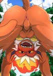 0508madaramoyou anthro anus backsack balls blush butt day detailed_background generation_4_pokemon genitals hi_res infernape looking_at_viewer looking_through looking_through_legs male mammal nintendo open_mouth outside perineum pokemon pokemon_(species) presenting presenting_hindquarters primate solo upside_down