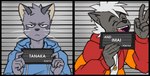 annoyed anthro duo eyes_closed gesture hand_gesture holding_object jewelry male mugshot necklace v_sign raxkiyamato barbie_and_ken_mugshot_meme odd_taxi hajime_tanaka_(odd_taxi) shun_imai_(odd_taxi) cougar felid feline felis mammal mephitid skunk