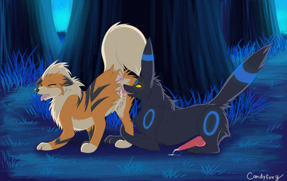 alternate_color anus balls blue_background candyfoxy canine cum eeveelution erection eyes_closed female feral forest grass growlithe lying male mammal nintendo open_mouth oral oral_sex outside penis plain_background pokémon pussy sex sharp_teeth shiny shiny_pokemon smile straight teeth tongue tree umbreon video_games yellow_eyes
Rating: Explicit
Score: 18
User: fue
Date: June 19, 2013