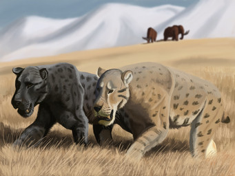 ambiguous_gender black_nose black_spots brown_body brown_fur duo facial_scar feral fur grass grey_body grey_fur melanistic mountain plant proboscis_(anatomy) quadruped scar snow spots tan_body tan_fur trunk_(anatomy) tusks whisker_spots whiskers agustindiazart elephantid felid homotherium mammal mammoth prehistoric_species proboscidean saber-toothed_tiger woolly_mammoth 2021 4:3 digital_media_(artwork) digital_painting_(artwork) hi_res painting_(artwork)
