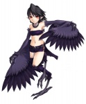 belt black_hair blush bottomwear choker claws clothed clothing collar digitigrade ear_piercing ear_ring feathered_wings feathers female fur hair humanoid_pointy_ears jewelry midriff monster_girl_(genre) navel necklace on_one_leg piercing pointy_ears red_eyes ring_piercing shorts side-tie_bottomwear side-tie_hotpants skimpy slim solo standing tail tail_feathers wings kenkou_cross european_mythology greek_mythology monster_girl_encyclopedia mythology black_harpy_(mge) avian harpy humanoid mythological_avian mythological_creature winged_humanoid official_art