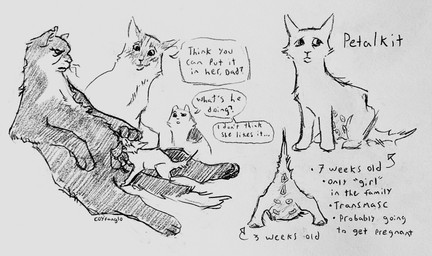 age_difference andromorph animal_genitalia animal_penis animal_vulva bad_parenting blush blush_lines butt dialogue disgusted_expression disgusted_face duo elderly_male exhibitionism family_bonding feline_anus feline_genitalia feline_penis feline_vulva fellatio female feral forced forced_fellatio fur genitals gerontophilia group holding_head_down innocence intersex male male/female misgendering neonate nipples older_male oral penile penile_spines penis presenting presenting_hindquarters presenting_vulva sex size_difference speech_bubble talking_feral text voyeur vulva white_body white_fur young coyfang10 warriors_(book_series) fan_character domestic_cat felid feline felis mammal absurd_res english_text hi_res monochrome father_(lore) father_and_child_(lore) father_and_son_(lore) grandchild_(lore) grandfather_(lore) grandfather_and_grandchild_(lore) grandparent_(lore) grandparent_and_grandchild_(lore) incest_(lore) incestuous_voyeur_(lore) parent_(lore) parent_and_child_(lore) parent_and_son_(lore) sibling_(lore) son_(lore) trans_(lore) trans_man_(lore)