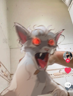 bathing fangs feral feralized fur glowing glowing_eyes humor male open_mouth red_eyes screaming teeth wet wet_body wet_fur white_body white_fur coolracoons baldur's_gate baldur's_gate_3 bioware dungeons_and_dragons electronic_arts hasbro larian_studios tiktok wizards_of_the_coast astarion_(baldur's_gate) domestic_cat felid feline felis mammal draw_over hi_res