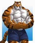 anthro barazoku belt big_muscles black_body black_fur black_nose bottomwear clothed clothing flexing fur huge_muscles humanoid_hands looking_at_viewer male muscular muscular_anthro muscular_male orange_body orange_fur shorts simple_background solo standing striped_body striped_fur stripes topless whiskers white_body white_fur yellow_eyes echin mike_the_tiger felid mammal pantherine tiger 2011 hi_res